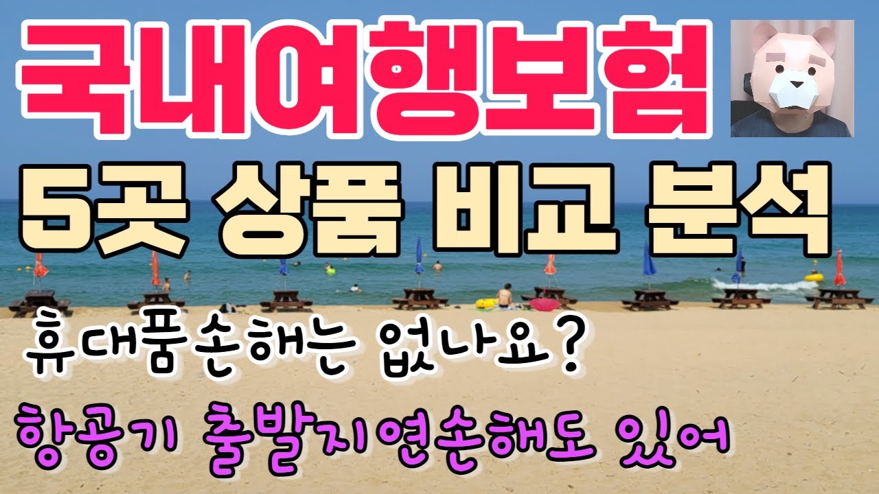 국내여행보험 어떤 상품이 좋을까? | 여행자보험 비교 리뷰