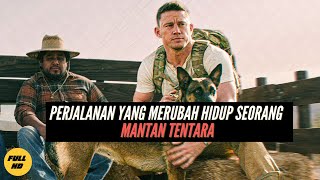 ANJING 'PEMBUNUH' YANG AKHIRNYA MENEMUKAN PAWANGNYA !!! REVIEW FILM DOGS (2022)