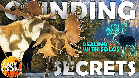 GRINDING SECRETS / 1st LAYTON GREAT ONE is HERE!!! - Call of the Wild
