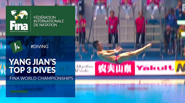 Yang Jian - Top 3 dives | FINA World Championships - DayDayNews