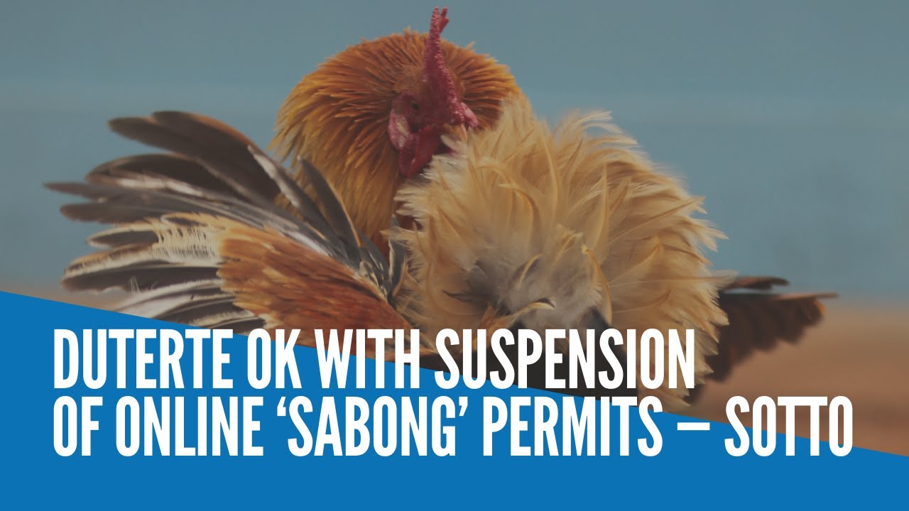 Duterte Ok With Suspension Of Online Sabong Permits Sotto Youtube