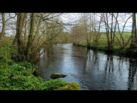 River Nidd - Dacre Banks & Hampsthwaite, Nidderdale, North Yorkshire - 16 April 2023