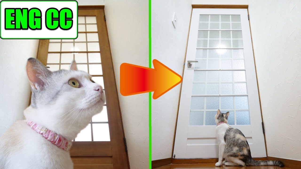 可愛い画像 DIY to make the door of the cat room beautiful!【Eng CC】