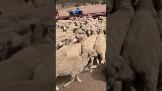 IMG 1345
