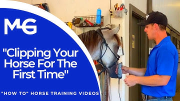 Clipping Your Horse For The First Time | The Horse Guru - Michael Gascon