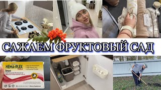 VLOG: Я их ТАК ЖДАЛА/порядок ПОД РАКОВИНОЙ/сажаем ФРУКТОВЫЙ САД/ покупки ПЕЛЕНОК/какое ЖЕЛЕЗО пью