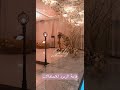 قاعة فلورا للإحتفالات جدة