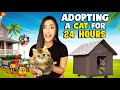 I adopted a cat for 24 hours challenge emotional   samreen ali