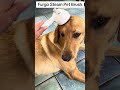 #furgo #steam #dog #dogs #fok #buy #steampetbrush #hair #doghair #clean #top #new