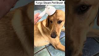 #furgo #steam #dog #dogs #fok #buy #steampetbrush #hair #doghair #clean #top #new