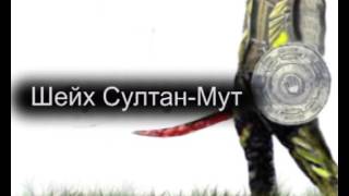 Шейх Султан Мут
