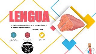 La y suelo lengua de de la del venas varicosas boca