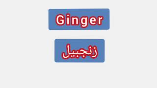'' Ginger ..  ترجمة كلمة انجليزية الى العربية - '' زنجبيل