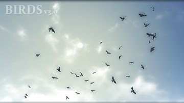Birds v3.0
