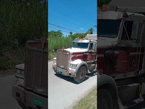 OLD BUT CLASSIC #TRUCKS #TRUCKING #WORKING #TRUCKERS #JAMAICA
