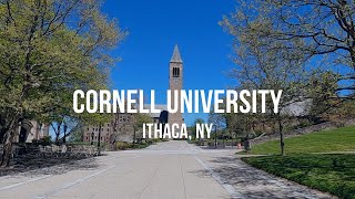 thanks for the memories | cornell university