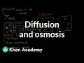 Diffusion and osmosis | Membranes and transport | Biology | Khan Academy