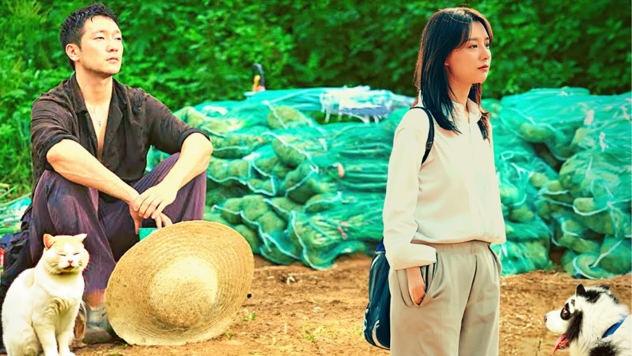 A poor farmer is underestimated, little do they know he is a wealthy CEO disguised to find true love