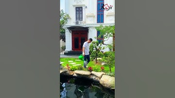 chăm sóc vườn khiến con người ta dịu dàng và kiên nhẫn hơn| KOJI LANDSCAPE