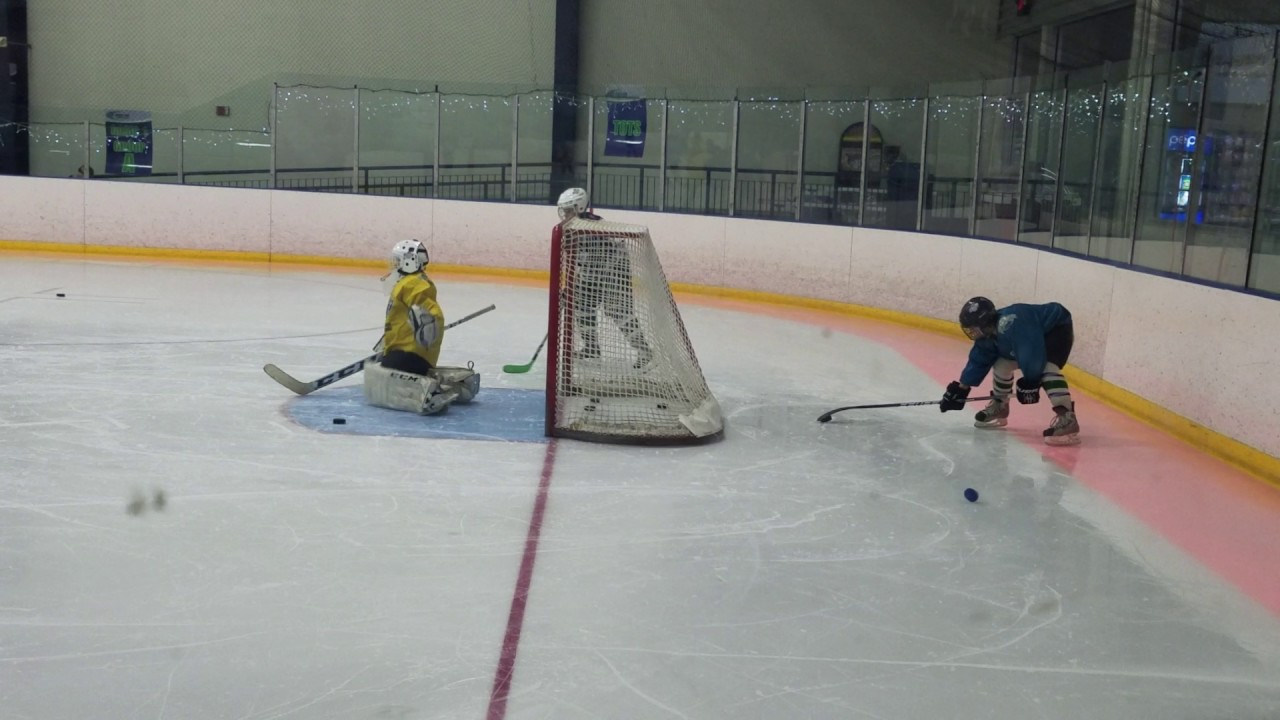 Johnny's lacrosse style hockey goal YouTube