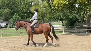 2022 Schooling Flat