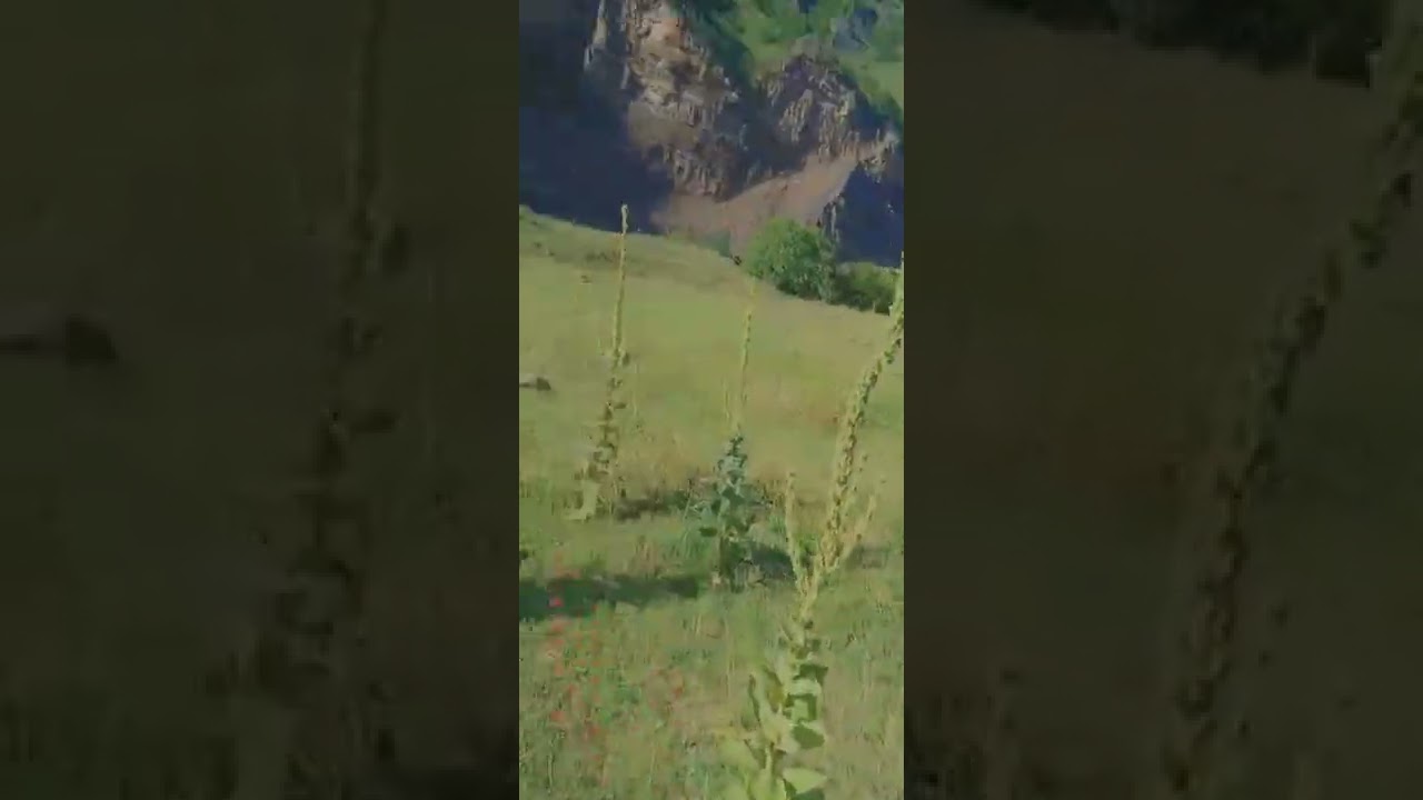 Лето....Это я в горах