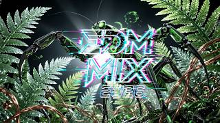 Retro Future Bass Drops: Cyberpunk Lounge Vibes with Glitchy Synth & Moody EDM Energy