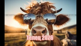 видео: Телец 2026 прогноз от J Dzay картинка: Телец 2026 прогноз от J Dzay