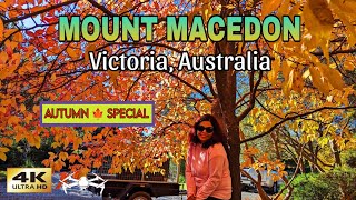 Autumn Vibes  Mount Macedon Tour, Victoria, Australia | Drone Photography