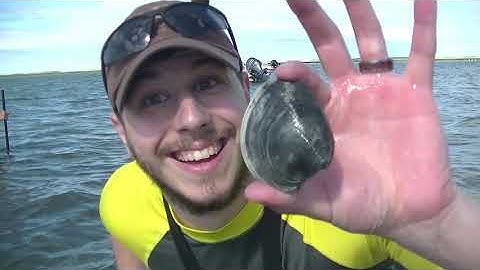 Clamming in Cape Cod.  A lot of work for a bowl of CHOWEDER!