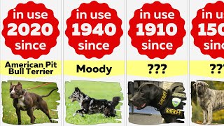 Comparison: 50 Ultimate Military And Police Dog Breeds