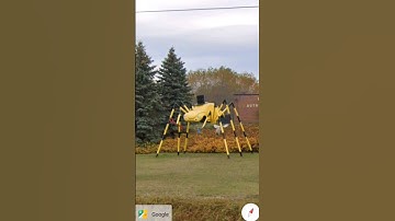 I found spider car 🕷️ on Google earth 🌎 and google maps #shorts #nbmaps