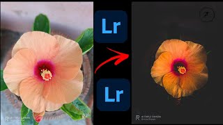 Flower editing in Lightroom - Lightroom editing tutorial | Lightroom editing tutorial | Tech Ananya| screenshot 5