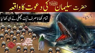 Hazrat Suleyman Davat to all creatures # knowledgecharagh #fyp # viral