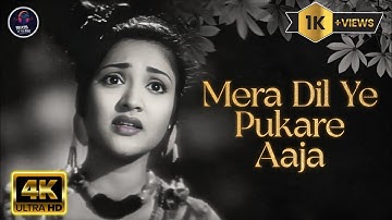 वैजयंतिमाला जी का दर्द भरा गीत✨️ मेरा दिल ये पुकारे आजा 💔 Mera Dil Ye Pukare | Nagin | old is gold 
