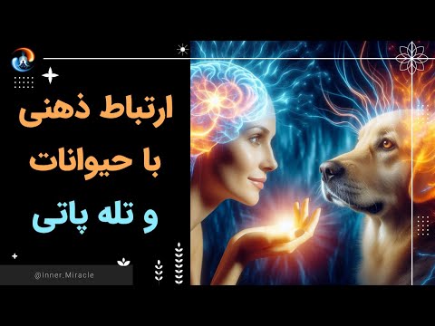 تصویری: آیا حیوانات عشق واقعی را تجربه می کنند؟