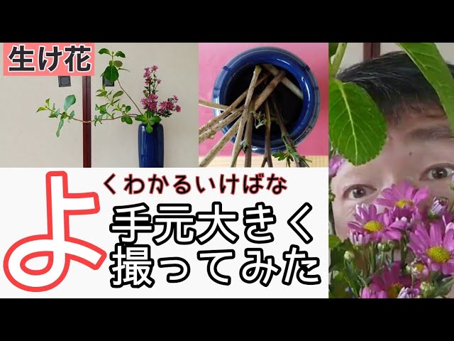 よくわかる生け花 いけばな小原流 瓶花 傾斜型 紫陽花 小菊 始めよう生け花レッスン Youtube よくわかる生け花 いけばな小原流 瓶花 傾斜型 紫陽花 小菊 始めよう生け花レッスン Youtube