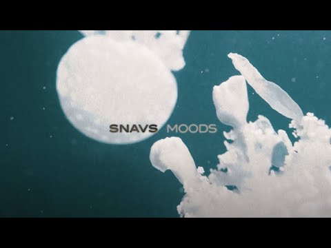 Snavs - Moods [Lyric Video]