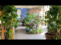 Garden Center Houseplant Tour! 🌿🙌💚 // Garden Answer