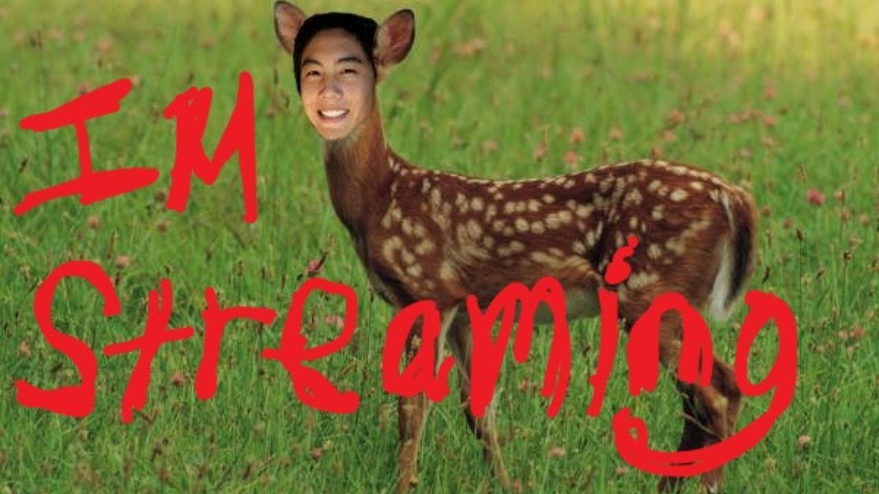 first stream... test - idk what I'm doing... expect issues lol



