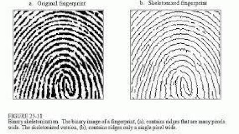 OCR part 7 Morphological operations how to find research question