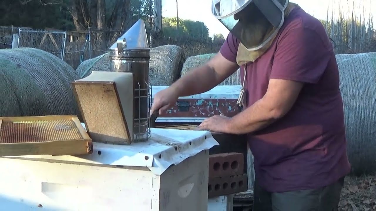 First check of the bees.  My mistakes cost me several hives this winter.