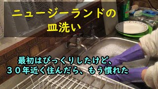 ニュージーランドの皿洗い Youtube