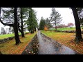 Relaxing Rainy Autumn Walk Topsmead State