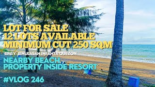 #vlog246 LOT FOR SALE - MINIMUM CUT 250 SQM - BRGY BINULASAN INFANTA QUEZON