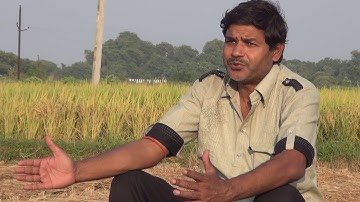 Introduction to Early Wheat Sowing and Zero Tillage_Part 2