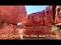 Red Canyon in The Sinai Desert, Egypt  Червения каньон Синай, Египет