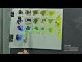 Comment fabriquer des verts Cours de peinture Gratuit Mathieu Robert