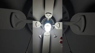 Noisy Ceiling Fan Sounds Like A Siren