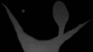 Found Media The Day Unplayable Error Lost It Something Went Wrong Island